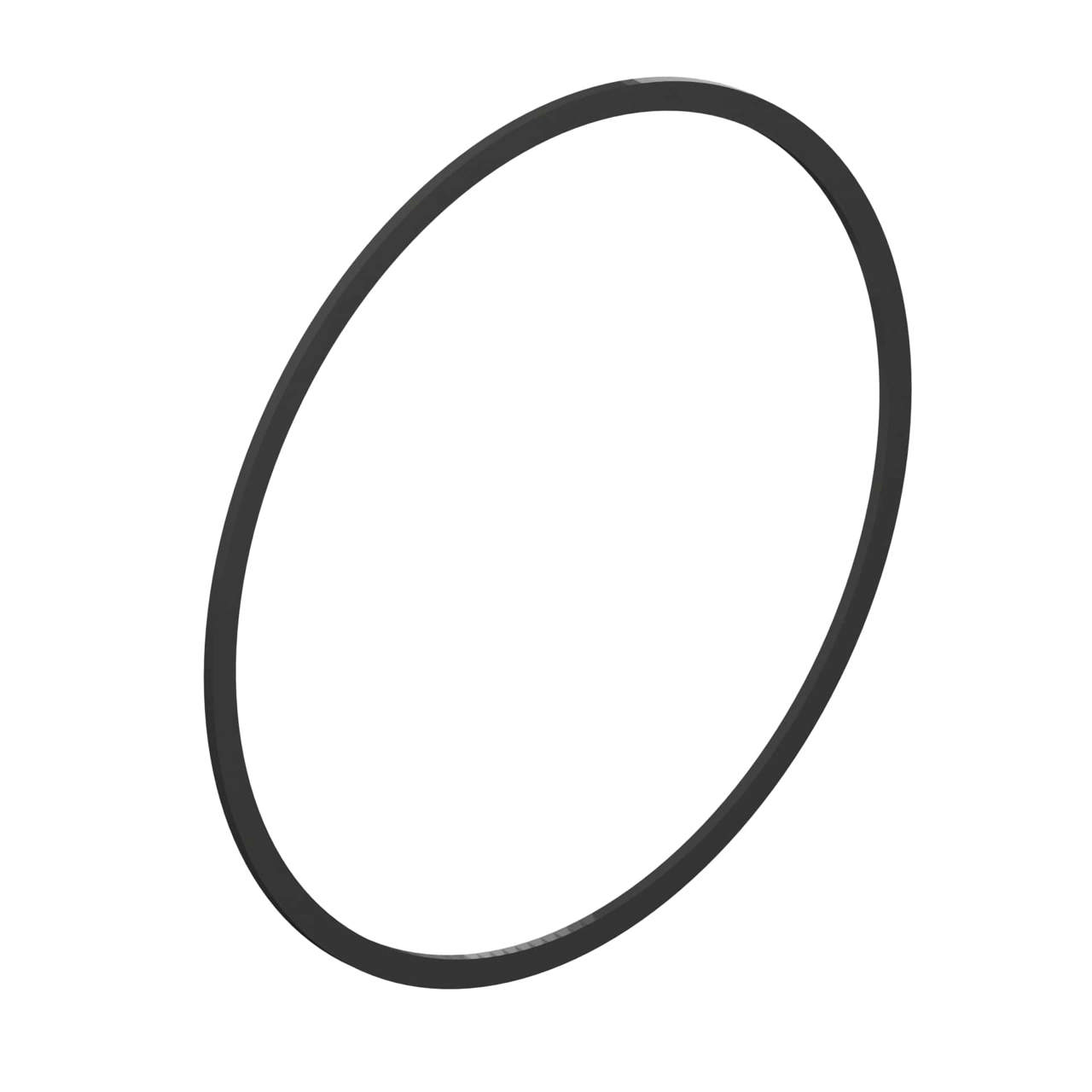 Seal Ring